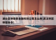 湖北区块链新金融科技公司怎么样[武汉市区块链协会]